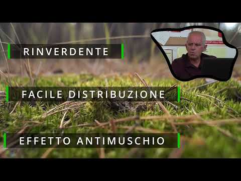Concime granulare contro il muschio Antimusk 5 Kg