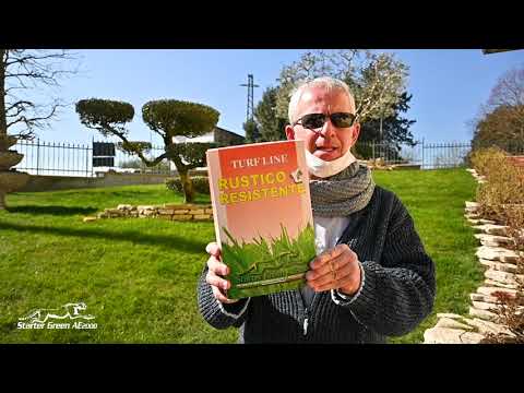 Seme prato rustico e resistente 1 kg