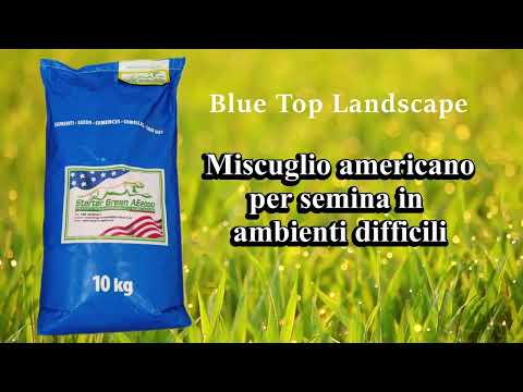 Seme prato americano Blue Top Landscape 10 kg