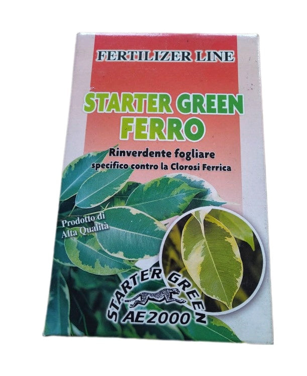 Rinverdente concime Starter Green Ferro 1 Kg