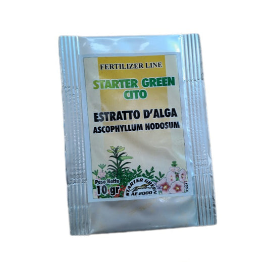 Concime idrosolubile 20.20.20 gr 10