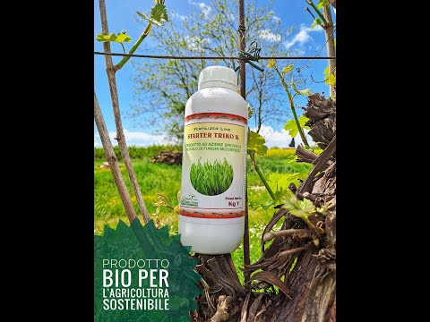 Micorrize funghi antagonisti Starter Triko K – 1 Litro