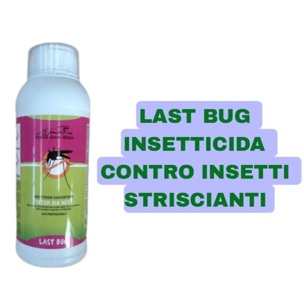 STARTERGREEN KIT PRATO PERFETTO: 1kg di sementi da prato 5kg di fertilizzante 1lt di insetticida - immagine 3